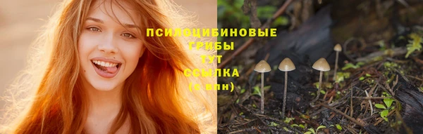ALPHA-PVP Абинск