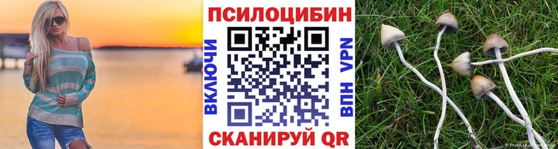 Псилоцибиновые грибы Psilocybe  Туран 